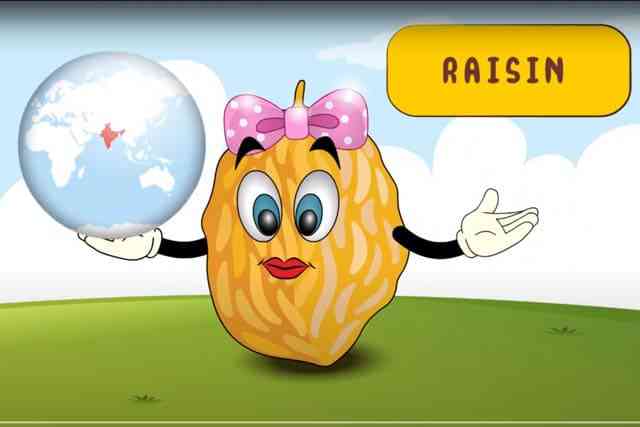 Raisin